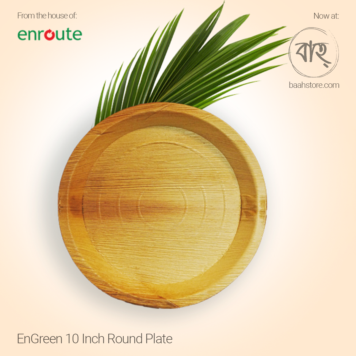 EnGreen 10 Inch Round Plate