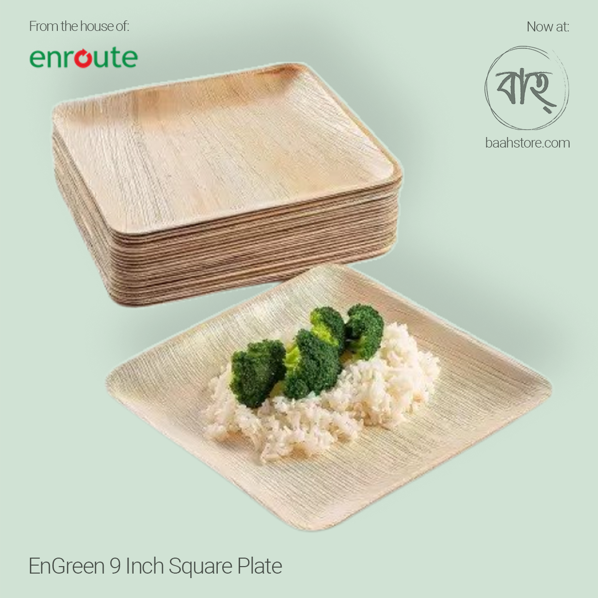 EnGreen 9 Inch Square Plate