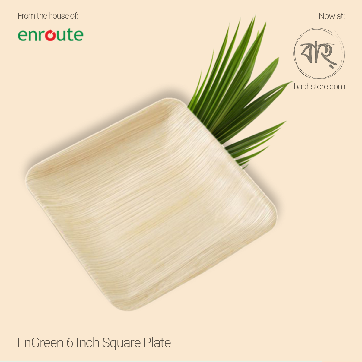 EnGreen 6 Inch Square Plate