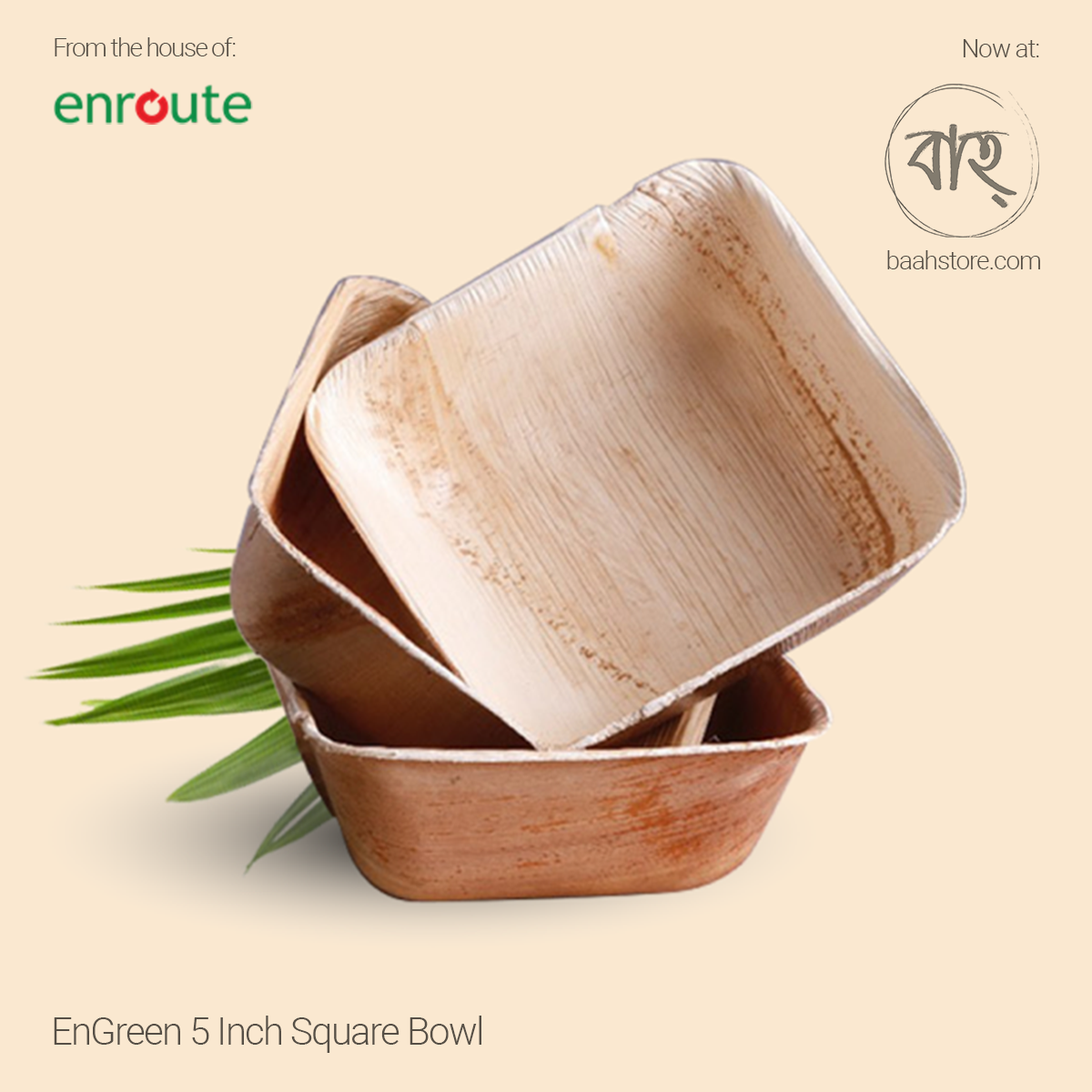 EnGreen 5 Inch Square Bowl