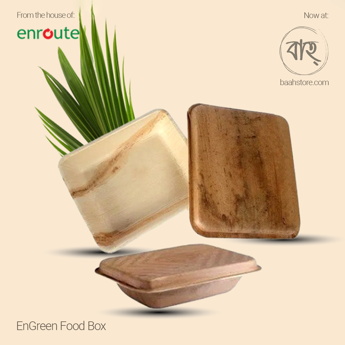 EnGreen Food Box